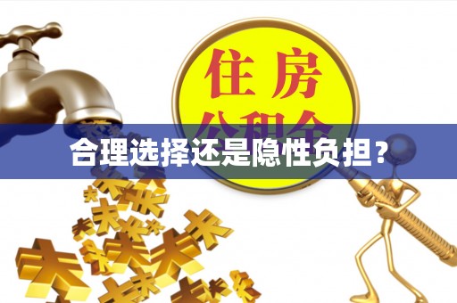 吉木萨尔合理选择还是隐性负担？