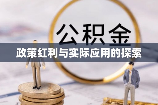 吉木萨尔政策红利与实际应用的探索