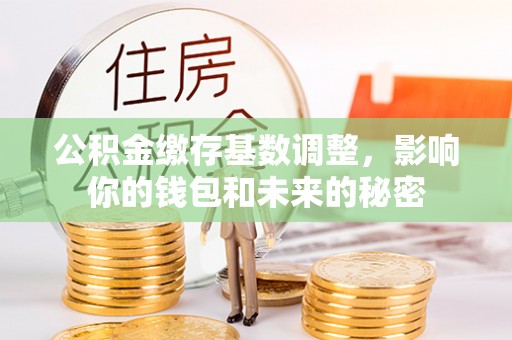 吉木萨尔公积金缴存基数调整，影响你的钱包和未来的秘密