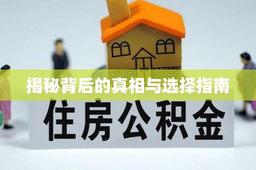 吉木萨尔揭秘背后的真相与选择指南