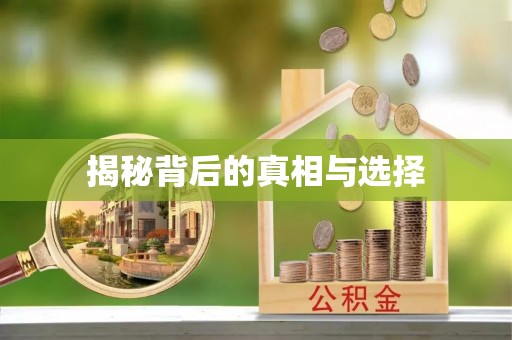 吉木萨尔揭秘背后的真相与选择