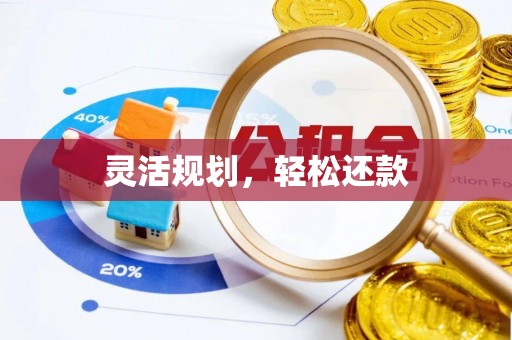 吉木萨尔灵活规划，轻松还款