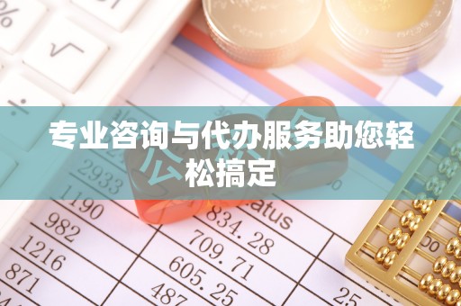 吉木萨尔专业咨询与代办服务助您轻松搞定