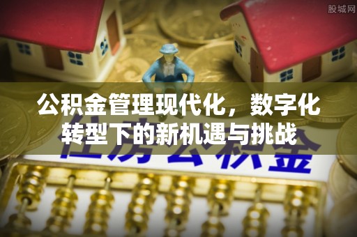 吉木萨尔公积金管理现代化，数字化转型下的新机遇与挑战