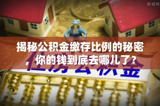 吉木萨尔揭秘公积金缴存比例的秘密，你的钱到底去哪儿了？